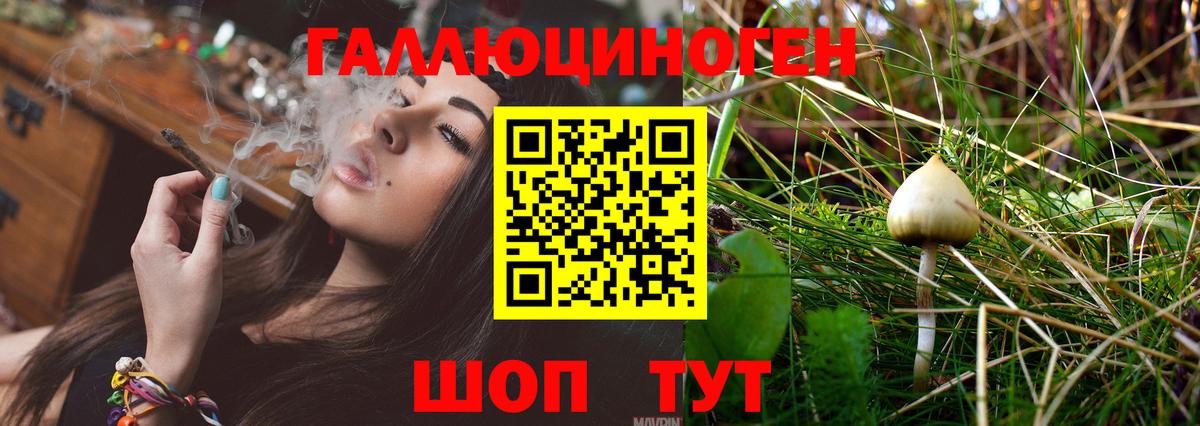 Галлюциногенные грибы Magic Shrooms  Псилоцибиновые грибы ЛСД  Ликино-Дулёво  Вход с VPN 